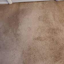 l m carpet care updated april 2024