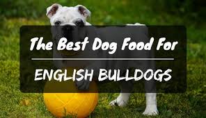 Canidae life stages dog food. The Best Dog Food For English Bulldogs In 2021 Petdt