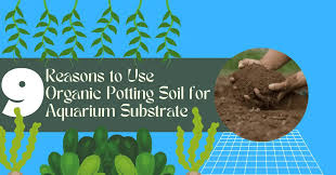 Organic Potting Soil For Aquarium Substrate