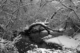 stopping by the woods on a snowy evening symbolism