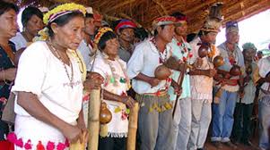 In the 1960s and 70s, the guarani kaiowá were expelled from their ancestral lands by the brazilian military . Solidaridad Con Indigenas Guarani Kaiowa En Mato Grosso Brasil Salva La Selva