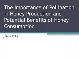 the importance of pollination in honey