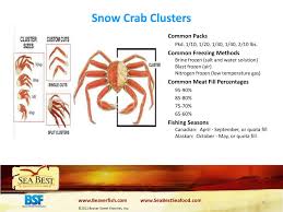 Ppt Seafood 101 Guide Powerpoint Presentation Id 1641503