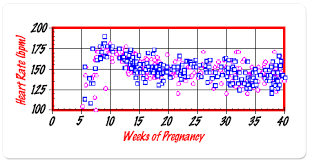 11 Age Fetal Heart Rate By Week Chart Gender Www