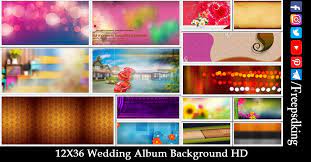 12x36 wedding al background hd