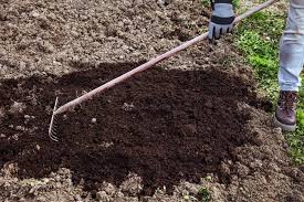 How To Improve Sandy Soil To Grow
