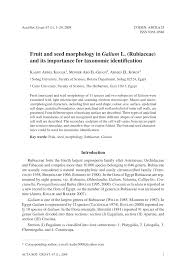(PDF) Fruit and seed morphology in Galium L....