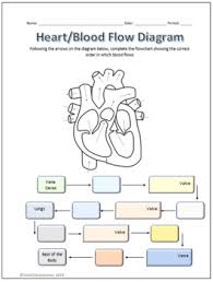 Human Heart Parts And Blood Flow Labeling Worksheets Diagram Graphic Organizer
