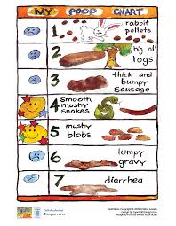Free Downloadable Poop Chart For Kids Who Have Potty Accidents