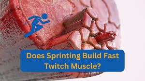 does sprinting build fast twitch muscle