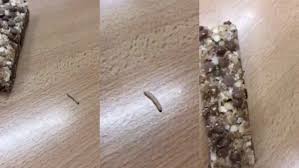 maggots falling from ceiling