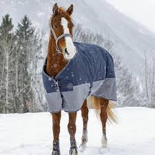 waterproof turnout rug for horse and