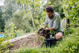 How To Make Wood Chip Mulch At Home