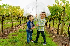 Its story follows a group of long time friends who take a vacation to napa valley as a birthday getaway. Wine Country With Kids Family Friendly Wineries To Visit Now