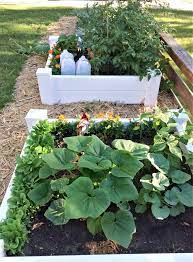 Front Yard Raised Bed Vegetable Garden