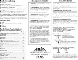 Scoring Sheet For The International Standards For