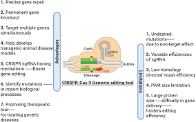 targeted genome editing technologies