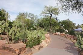 the largest botanical cactus garden in