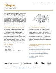 publication tilapia farmed fish fact sheet