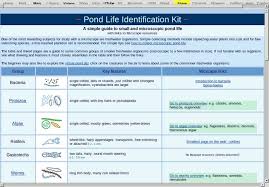 Pond Life Identification Kit Resources Digital Chalkboard