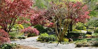anese gardens in spring picture of