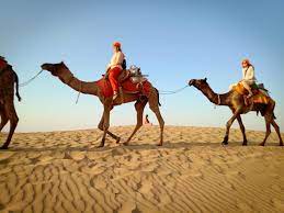 Find great deals on new items shipped from stores to your door. Traveling By Camel