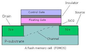A memory cell starts its life in the bone marrow, where lymphocytes are made. Embedded Systems Course Module 16 Flash Memory Basics And Its Interface To A Processor