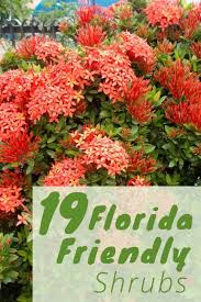 Florida Plants Landscaping