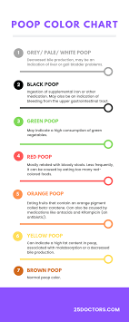 Healthy Poop Chart Stool Color Changes And Meaning Concept
