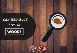 can bed bugs live in wood uncovering