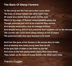 the bane of sheep farmers poem
