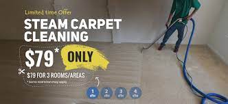 best carpet steam cleaning 79 special