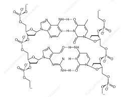 dna chemical structure formula stock