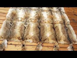 coyote fur blanket how to make part 1