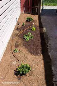 Cut your drip tape to length and lay them on your garden beds with the holes facing up. Expanding A Drip System