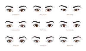 eye types images browse 37 529 stock