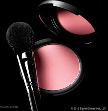 sigma beauty f10 powder blush brush