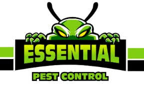 pest control experts in christchurch