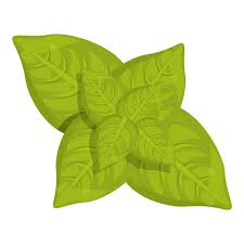 Mint Icon Cartoon Vector Leaf Herb