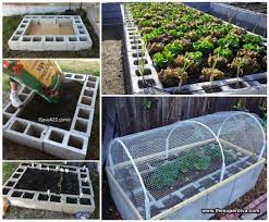 raised bed garden out of cinder blocks