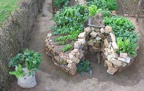keyhole gardens growing drought