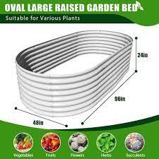 Cesicia 8 Ft L X 4 Ft W X 2 Ft H Outdoor White Galvanized Raised Steel Garden Bed Oval Above Ground Modular Planter Boxes