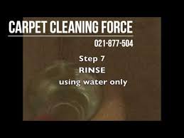 remove pet stains pet urine and pet