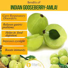 nutritious indian gooseberry amla