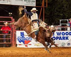 free bull riding rodeo