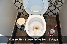 How To Fix A Loose Toilet Seat 5 Steps