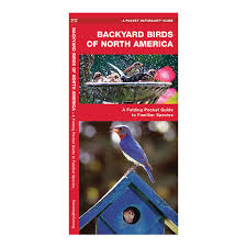 backyard birds of north america