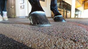 rhino lining for your horse trailer floor