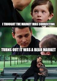 The stock market is a perfect system that reflects real economic value. Bear Market Meaning Good Night Funny Funny New Years Memes New Year Meme