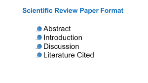     Literature Review Examples   Free   Premium Templates   Before starting to write